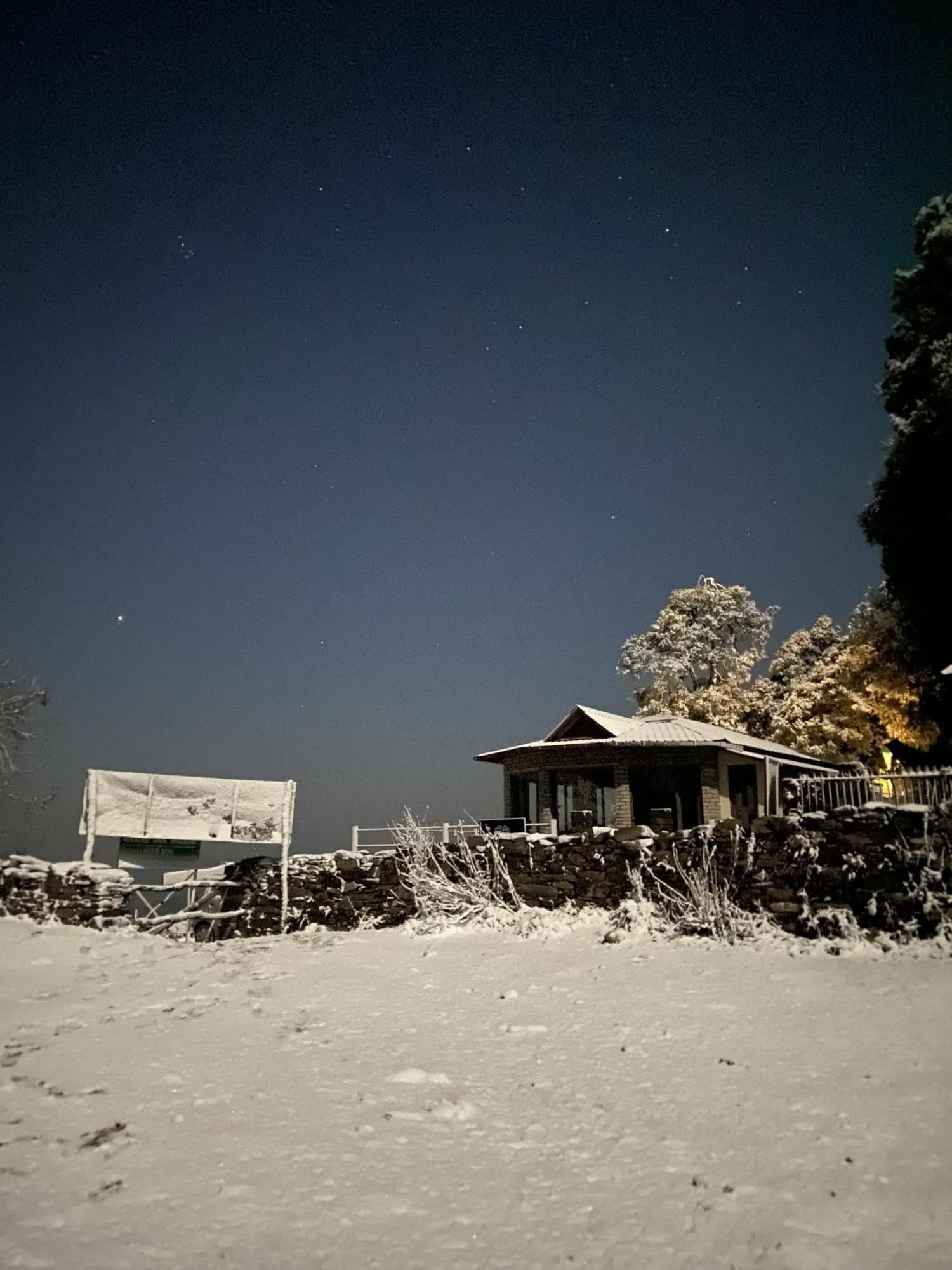 Simba Jungle Lodge, Binsar Wildlife Sanctuary Ngoại thất bức ảnh