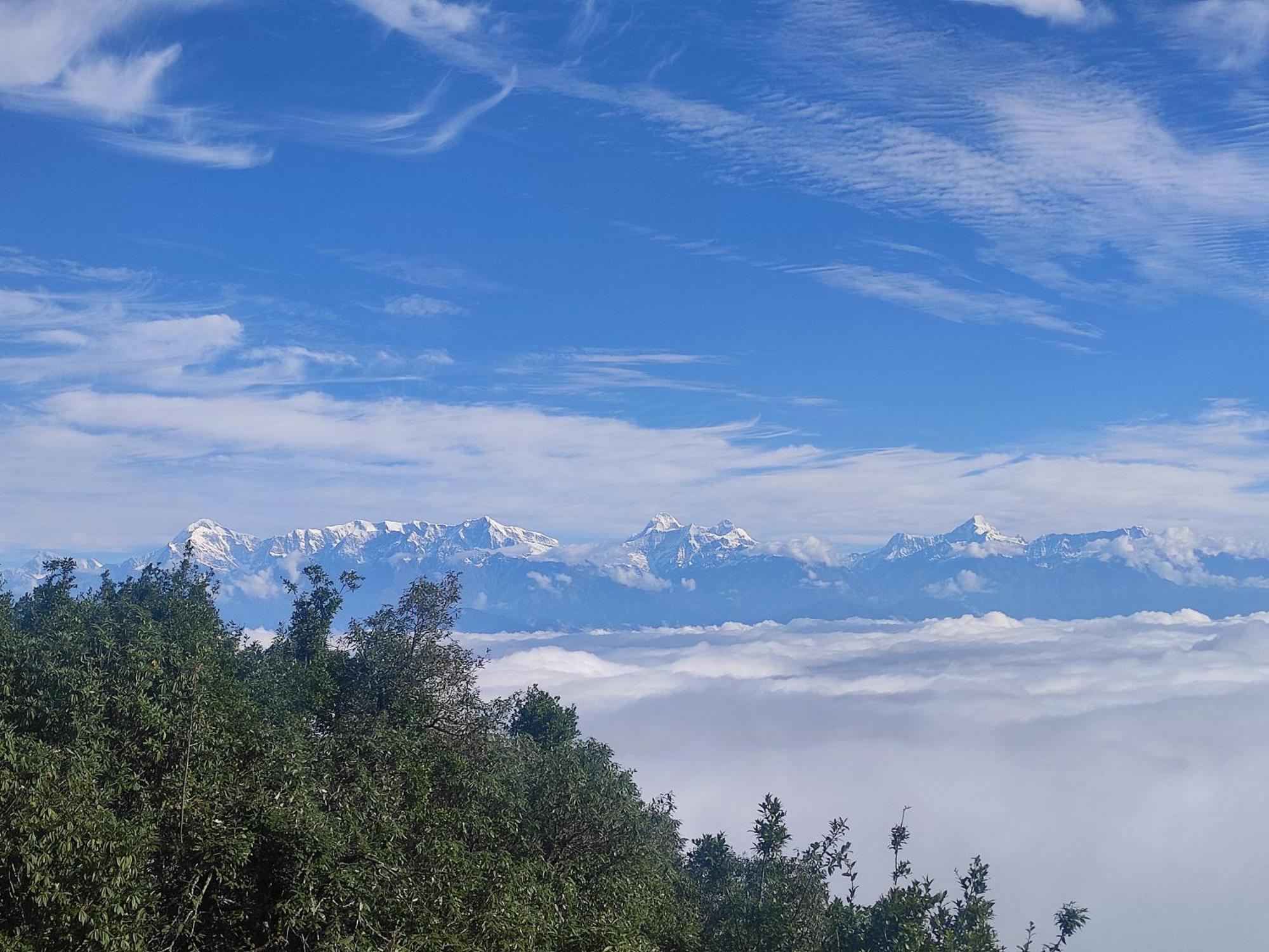 Simba Jungle Lodge, Binsar Wildlife Sanctuary Ngoại thất bức ảnh