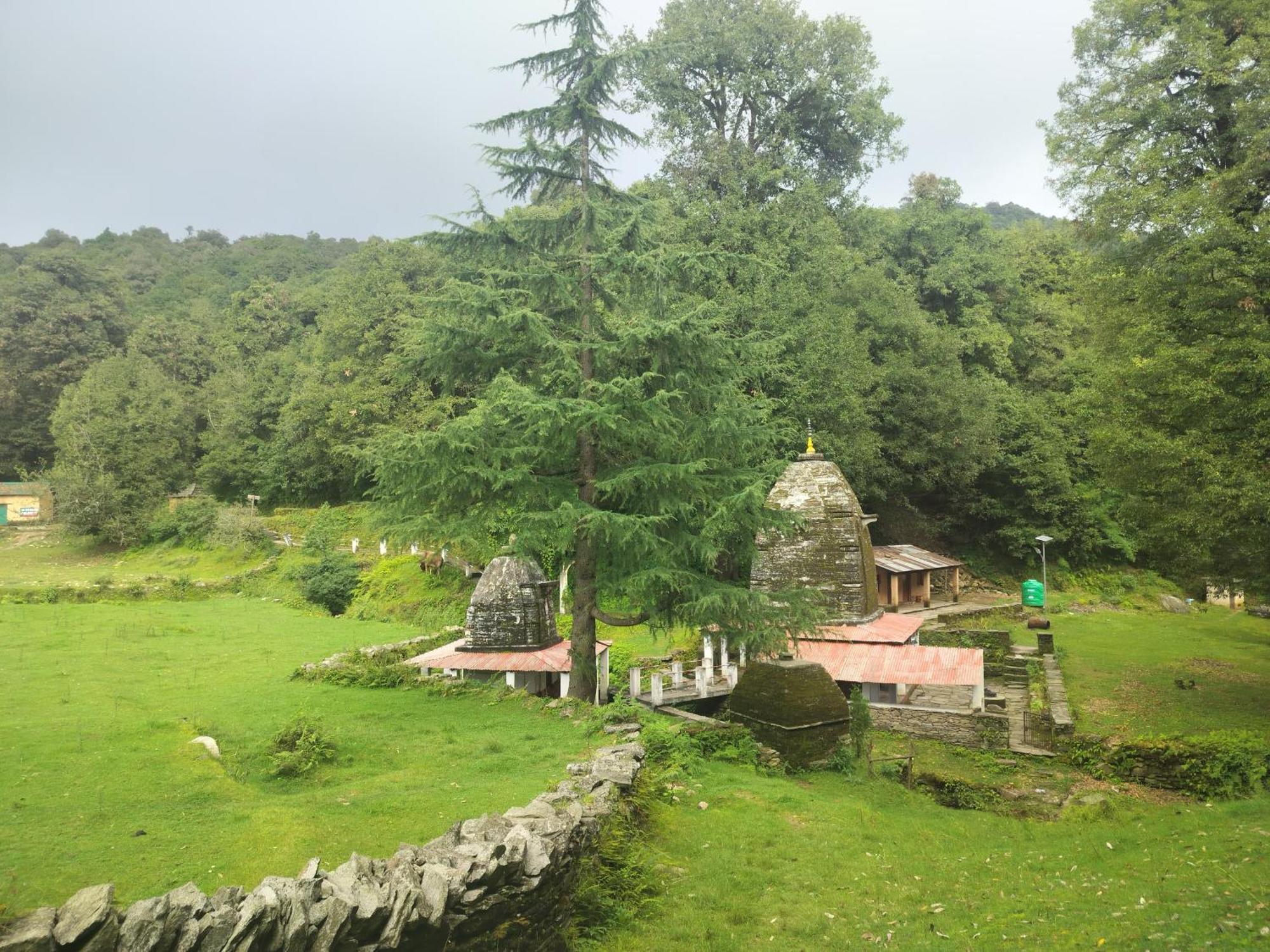 Simba Jungle Lodge, Binsar Wildlife Sanctuary Ngoại thất bức ảnh