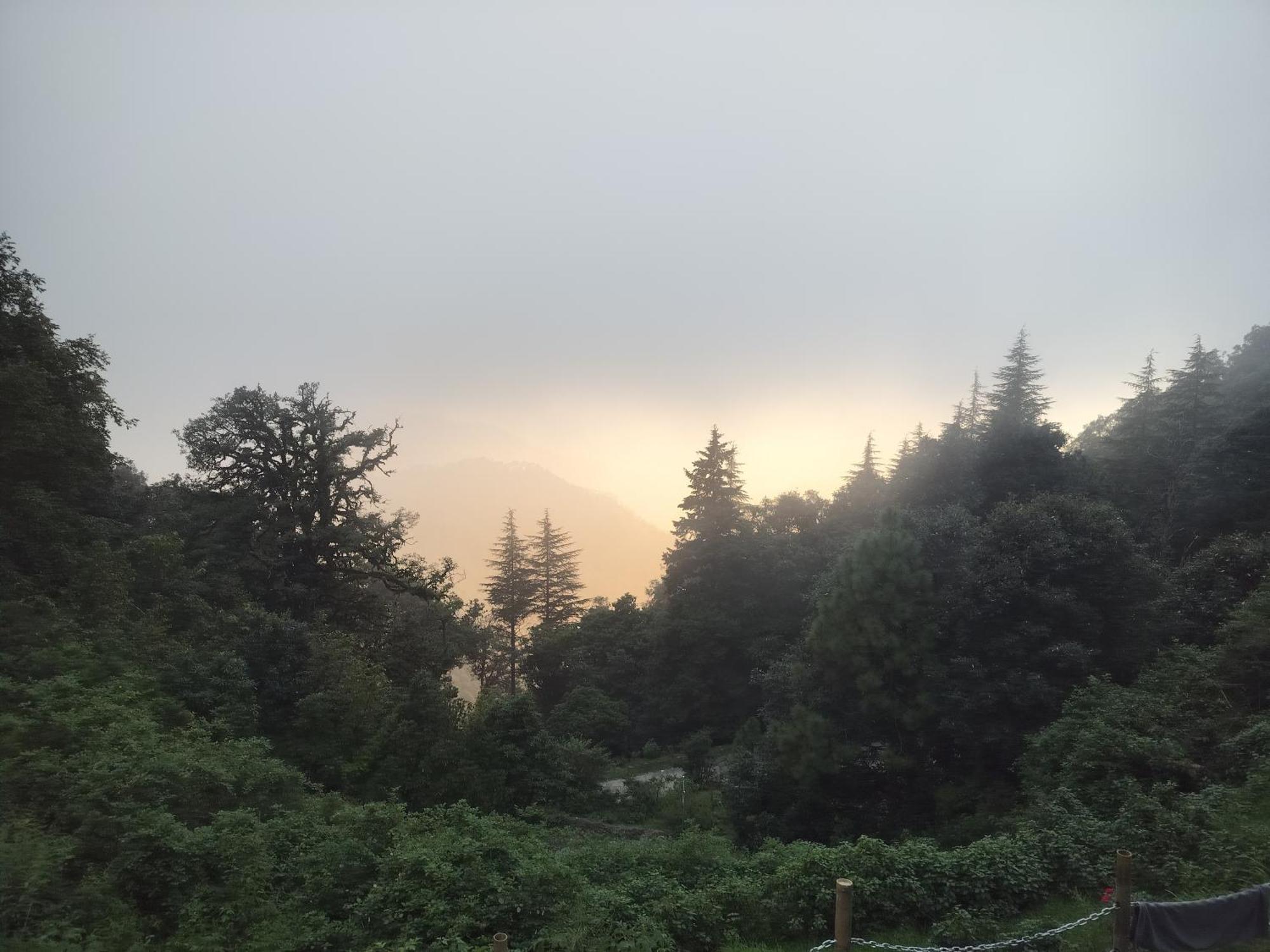Simba Jungle Lodge, Binsar Wildlife Sanctuary Ngoại thất bức ảnh