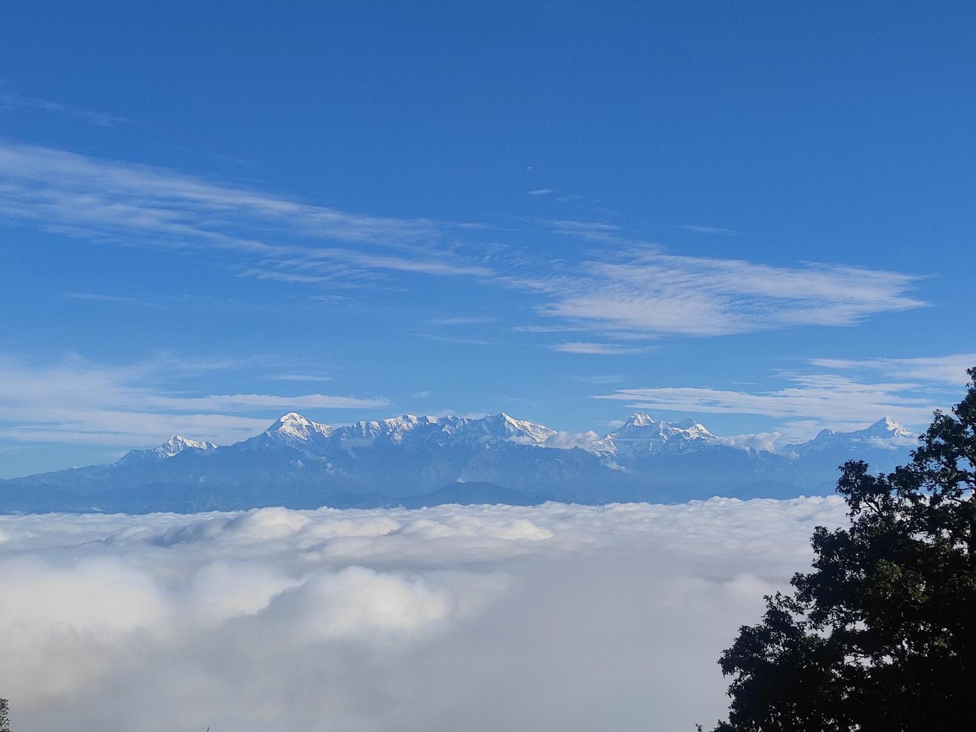 Simba Jungle Lodge, Binsar Wildlife Sanctuary Ngoại thất bức ảnh